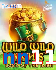 nn11