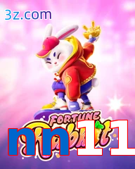 nn11