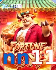 nn11